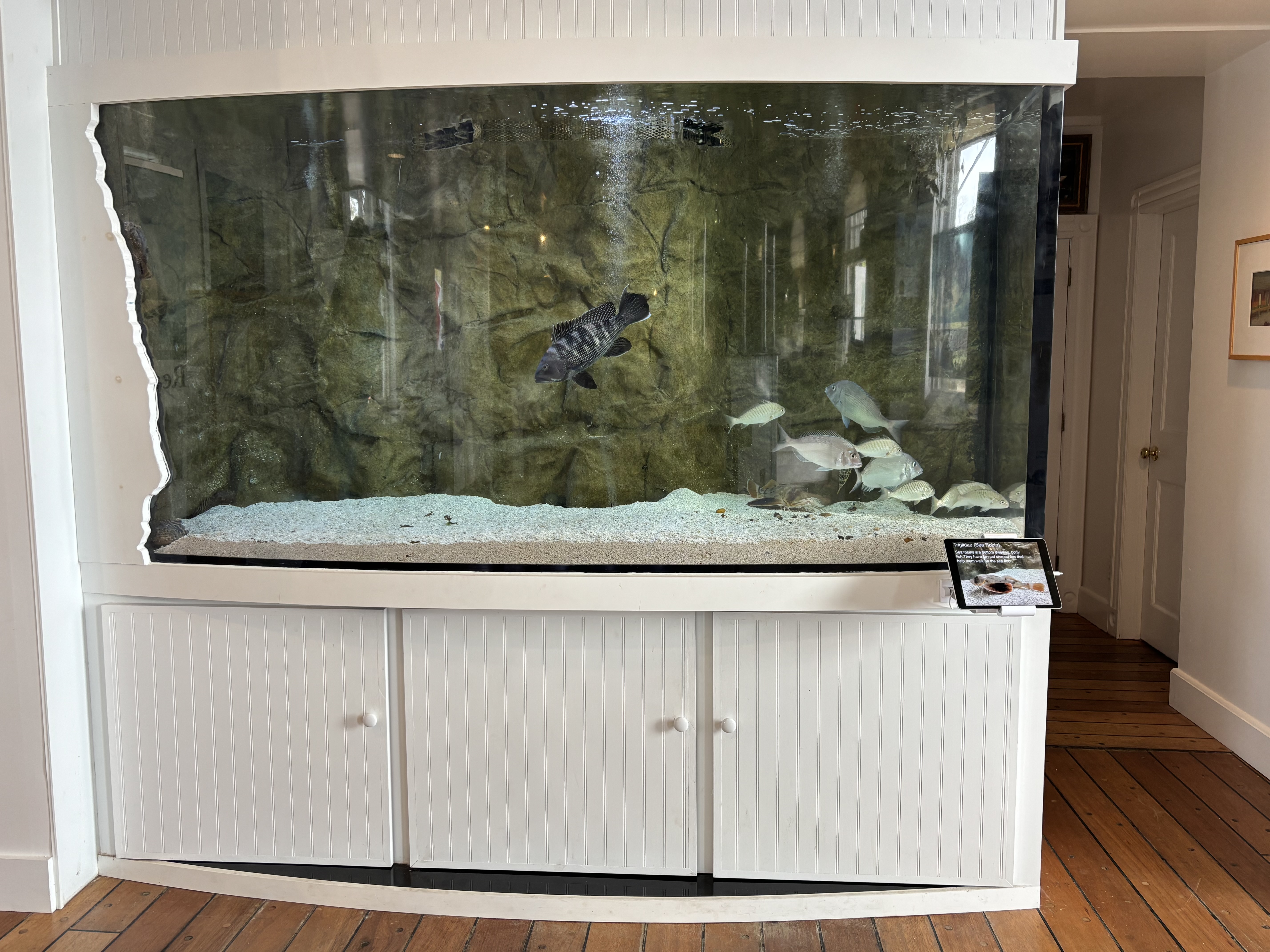 East End Seaport Museum & Marine Foundation, Sea-Life Aquarium